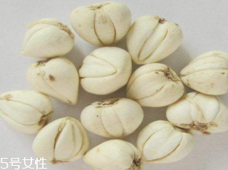 什么人不能吃川贝母粉,什么人不能吃川贝母 什么人不能吃川贝母粉,什么人不能吃川贝母