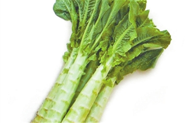 莴笋和莴苣是一样吗,笋和莴苣是一样的吗 莴笋和莴苣是一样吗,笋和莴苣是一样的吗