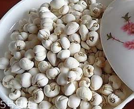 川贝母的主要成分,川贝母主要含有的成分是