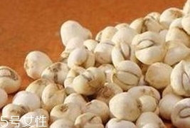 川贝母可以泡水喝吗?,川贝母可以用开水泡喝吗