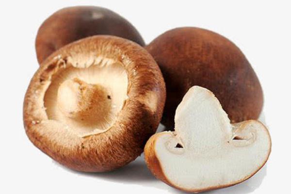 吃香菇胃疼是什么原因,为什么一吃香菇胃就疼