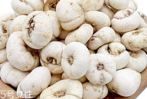 川贝母的适宜人群,川贝母的适宜人群有哪些