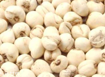 哺乳期能吃川贝母吗,哺乳期妈妈能吃川贝吗