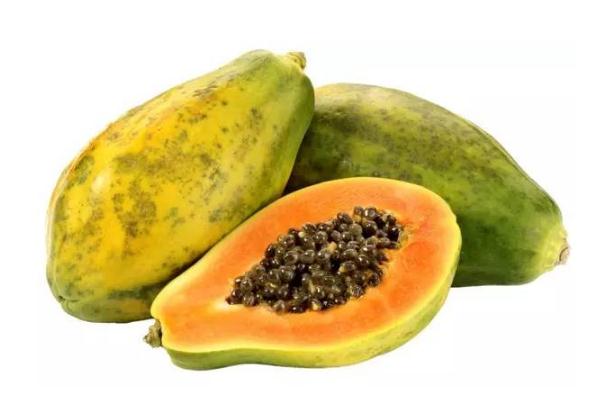 木瓜有催奶的功效吗,木瓜催奶效果好吗 木瓜有催奶的功效吗,木瓜催奶效果好吗