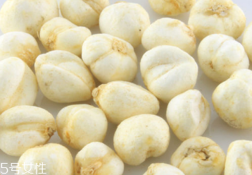 川贝母的生长环境,川贝母的种植