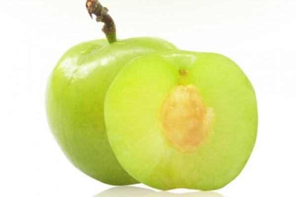 李子孕妇能吃吗,孕期可以吃李子不 李子孕妇能吃吗,孕期可以吃李子不