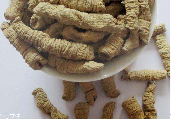 巴戟天产妇可以吃吗,女人可以吃巴戟天有什么功效