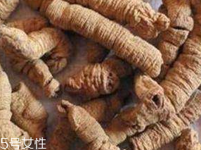 冬天班戟可以不放在冰箱吗,巴戟天保质期多久