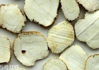 巴戟天在哪里能买到,巴戟天多少钱