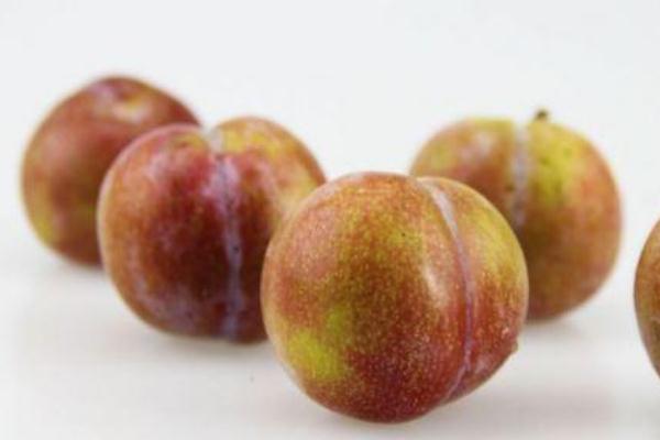 李子伤胃还是养胃,李子多吃有什么坏处