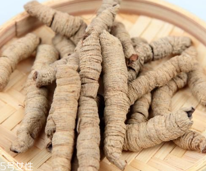 巴戟天怎么煲汤,巴戟天怎么煲汤对调经有效