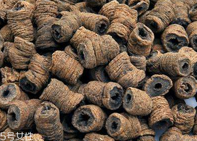 巴戟天怎么泡水喝,巴戟天怎么泡水