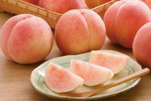 猕猴桃的功效是什么,樱桃的作用和功效