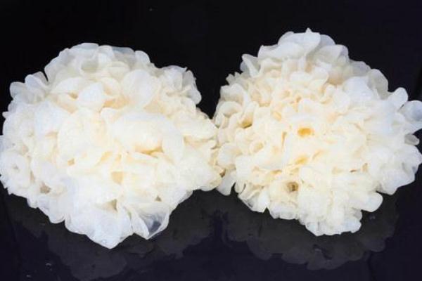 银耳对孕妇的好处,孕妇食用银耳的好处 银耳对孕妇的好处,孕妇食用银耳的好处