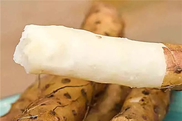 山药可以降血脂吗,山药怎么吃能降血脂降血糖