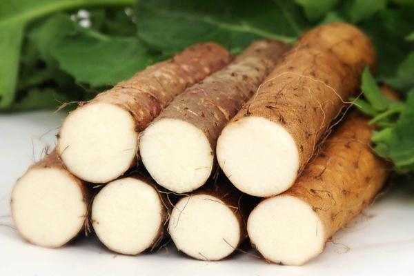 山药有几种品种图片,山药有几个品种哪种好