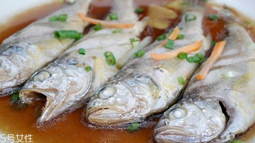 鲅鱼能长多大,鲅鱼能长多大呀?