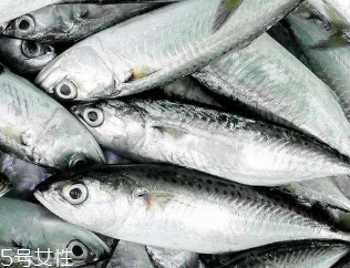 鲅鱼的生活环境,鲅鱼生长环境在什么地方 鲅鱼的生活环境,鲅鱼生长环境在什么地方