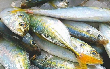 鲅鱼的营养价值及功效和作用,鲅鱼的营养价值及功效和禁忌