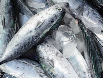 鲅鱼吃什么食物长大的,鲅鱼吃什么食物