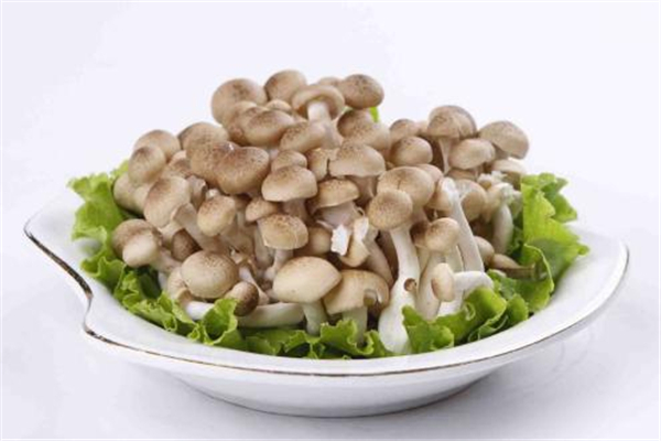 蟹味菇需要焯水吗,蟹味菇用焯水吗