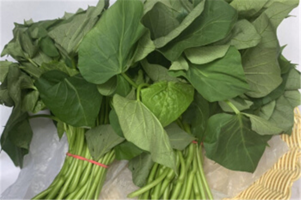 红薯叶什么季节才能吃,红薯几月份吃最好