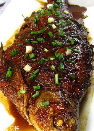 魟鱼死了是什么样子,鳑鲏鱼为什么老是死 魟鱼死了是什么样子,鳑鲏鱼为什么老是死