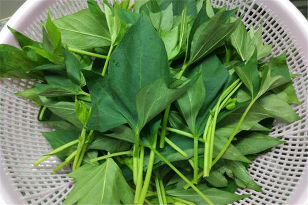 红薯可以降尿酸吗,紫薯降尿酸吗