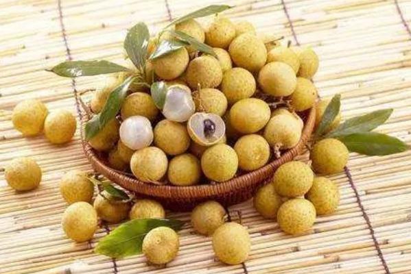 孕妇适合吃龙眼吗,龙眼孕妇可以吃吗晚期