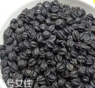 刺五加有什么用,刺五加的作用及功能主治