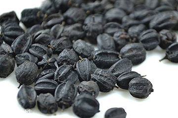 皮肤过敏的人能吃吗,皮肤过敏可以吃