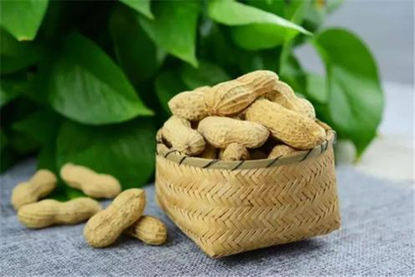 花生吃生的好还是熟的好,吃生花生好还是熟花生好