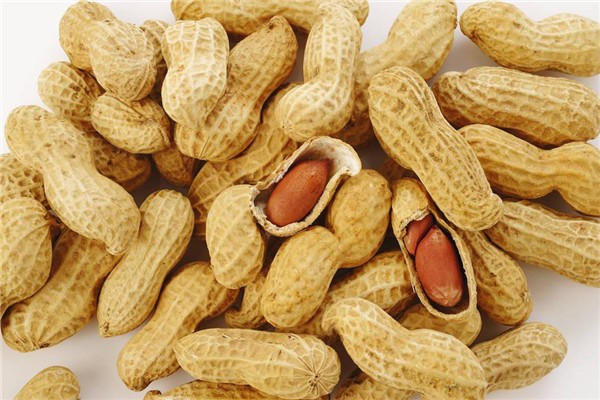 生花生治胃病吗,生花生米能治胃酸吗