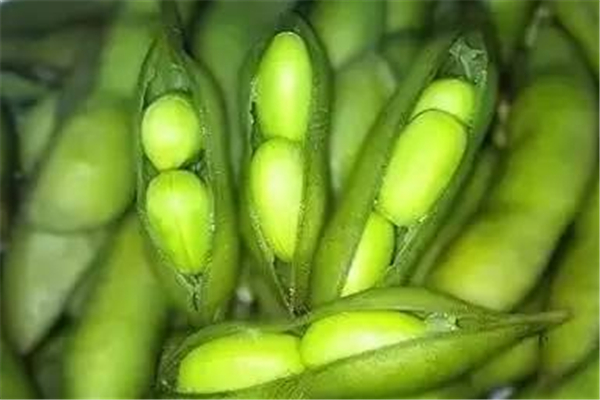 毛豆可以减肥吃吗?,减肥能吃毛豆子吗