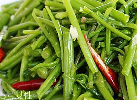 刺五加的禁忌人群,服用刺五加的禁忌