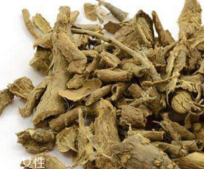 刺五加茶怎么泡,刺五加茶怎么冲泡