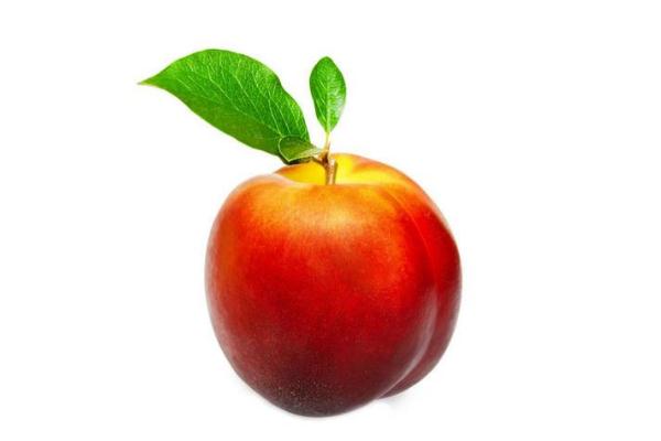 油桃上火还是下火的,油桃上火吗?