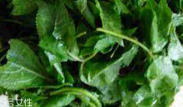 刺五加软化血管吗?,动脉硬化5.3需要治疗吗