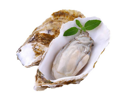 生蚝怎么样保存呢?,生蚝怎么样是坏的