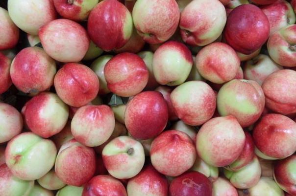 油桃含糖量高吗,油桃含糖量高吗孕妇可以吃吗 油桃含糖量高吗,油桃含糖量高吗孕妇可以吃吗