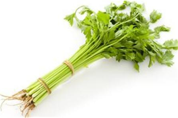 芹菜有几种品种图片,各种芹菜品种大全