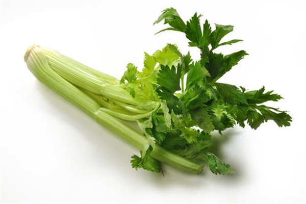 男士吃芹菜杀精是真的吗,芹菜杀精是真的吗