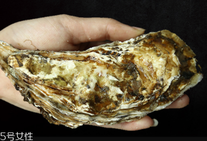 生蚝的内脏能吃吗脏在哪里,生蚝如何清理内脏