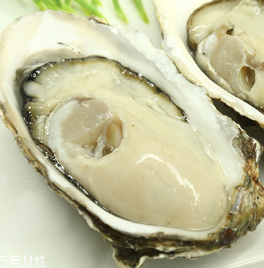 生蚝怎么样保存呢?,生蚝怎么样是坏的