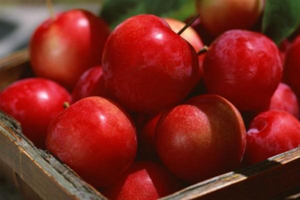 每天吃苹果的最佳时间是几点,吃苹果的最佳时间是几点钟