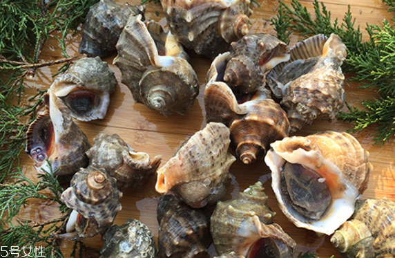 吃海螺中毒多久会缓解,吃海螺中毒后多久自愈