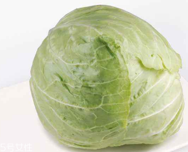 牛心菜的营养价值和功效,牛心菜的营养价值 牛心菜的营养价值和功效,牛心菜的营养价值