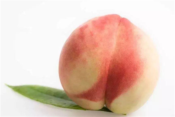 桃子会不会上火?,桃子是上火还是下火的