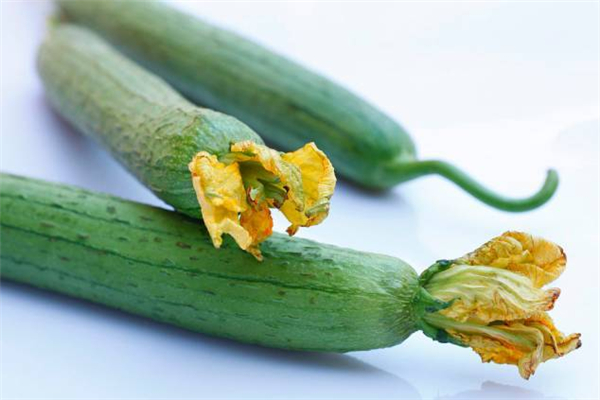 丝瓜好吃吗,哪一种丝瓜好吃比较香