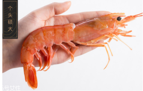阿根廷红虾怎么样是熟了,阿根廷红虾怎么样